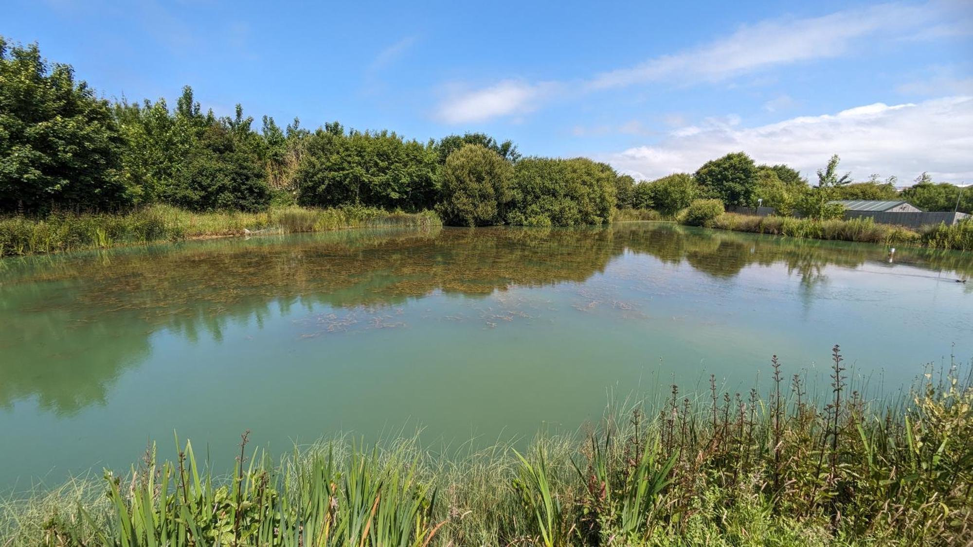 Lynstone Lakes Bude